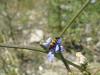 73377 – Photo : OCIS – France (05)