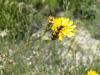 73378 – Photo : OCIS – France (05)