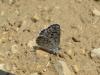73376 – Photo : OCIS – France (04)