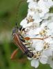 73119 – Photo : Olivier Sigaud – France (71)