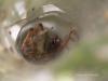 73035 – Photo : Francois Diemert – France (44)