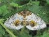 73039 – Photo : PREVOT – France (54)