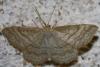 73781 – Photo : alain Roujas – France (31)