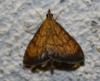 73067 – Photo : alain Roujas – France (31)