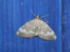 73032 – Photo : alain Roujas – France (31)
