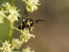 73361 – Photo : patrick derennes – France (77)