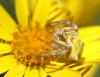 73158 – Photo : patrick derennes – France (77)