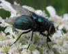 73790 – Photo : Elisabeth A. Harris – Royaume-Uni