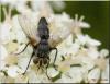 73511 – Photo : Marc ERARD – France (22)