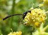 73587 – Photo : Éric Maurice – France (88)