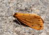 73491 – Photo : Eric SYLVESTRE – Andorre