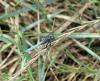 74028 – Photo : Duborget Robin – France (20)