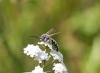 74361 – Photo : Duborget Robin – France (20)