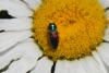 74934 – Photo : Nicolas Alric – France (12)