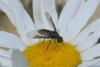 74807 – Photo : Nicolas Alric – France (12)