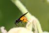 74358 – Photo : Duborget Robin – France (20)