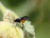 74352 – Photo : Duborget Robin – France (20)