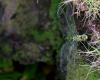 74600 – Photo : Duborget Robin – France (20)