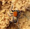 74552 – Photo : Didier Petot – Grèce