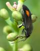 74169 – Photo : Magalie Mazuy – France (25)