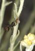 74985 – Photo : Michel Renou – France (13)