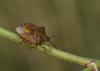 74312 – Photo : Michel Renou – France (91)