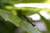 74253 – Photo : Pierre Duhem – France (75)