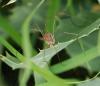 74400 – Photo : Patrick Decreus – France (93)
