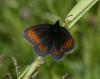 74633 – Photo : Pelouard – France (74)