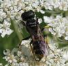 74173 – Photo : Elisabeth A. Harris – Royaume-Uni