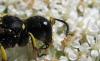 74174 – Photo : Elisabeth A. Harris – Royaume-Uni