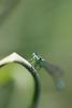 74146 – Photo : Duborget Robin – France (20)