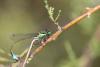 74147 – Photo : Duborget Robin – France (20)