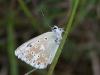 74111 – Photo : Mael Garrin – France (72)