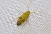 74678 – Photo : Roeland Libeer – Belgique