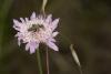 74100 – Photo : Michel Renou – France (13)