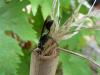 74021 – Photo : deedee – France (06)