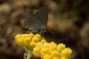 74984 – Photo : Michel Renou – France (13)