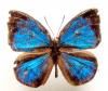 74338 – Photo : OCIS – Bénin