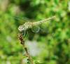 74944 – Photo : Serge ZILAVY – France (13)