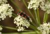 74056 – Photo : Michel Renou – France (13)