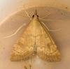 74060 – Photo : pendruc – France (78)