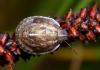 75805 – Photo : Vincent Derreumaux – France (04)