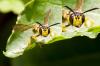 75698 – Photo : Pierre Duhem – France (75)