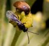 75857 – Photo : Pierre Duhem – France (75)
