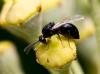 75858 – Photo : Pierre Duhem – France (75)