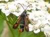 75021 – Photo : Baudouin DEWYNTER – France (22)