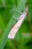 75601 – Photo : Vincent VALLI – France (10)
