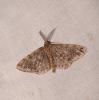 75478 – Photo : Arnaud Jean-Pierre – France (09)