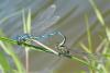 75709 – Photo : Noushka – France (31)